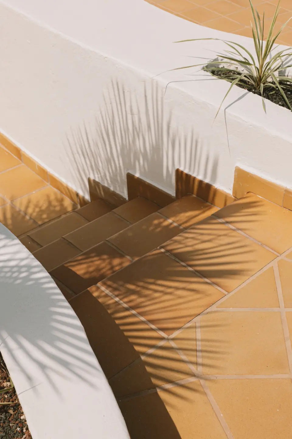 «La luz y la sombra son los verdaderos arquitectos de Lanzarote.»